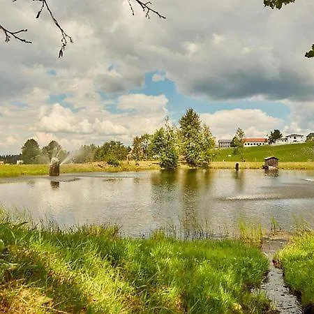 Hotel Sonnenhof - Tante Alma'S Sommerfrische Germany