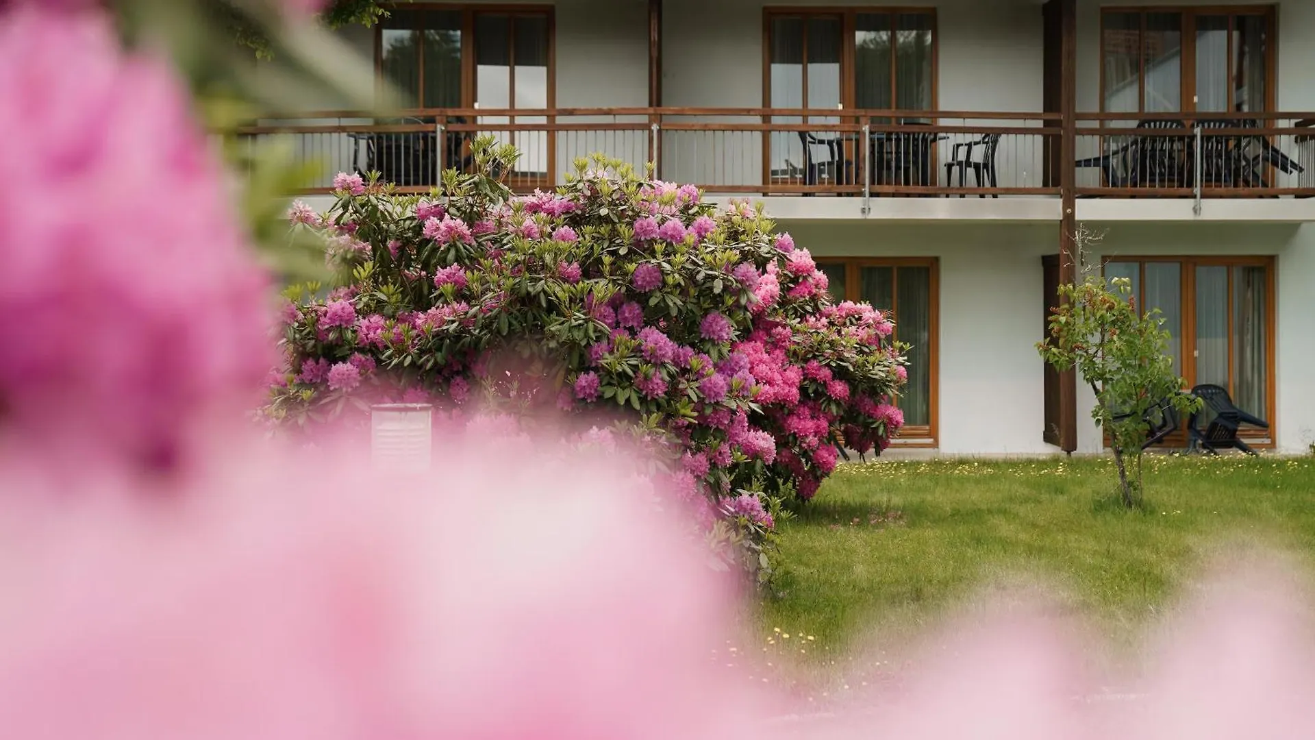 Hotel Sonnenhof - Tante Alma'S Sommerfrische  Sonnen